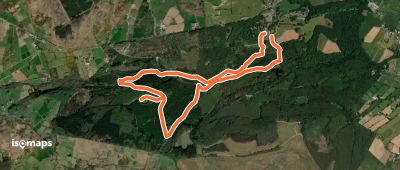 Tollymore Forest - River Trail
