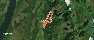 Grizedale Tarn Trail