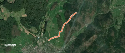 Wässerliwald - Im Loh