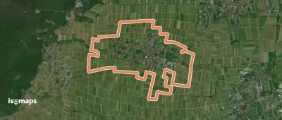 Gewürztraminerrundweg Rhodt