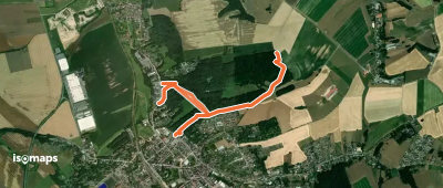 Wanderweg Meerane Grün