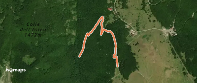 OSM Route 17667206
