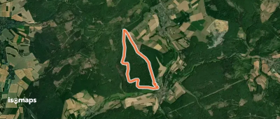Rundweg Um den Steinkopf