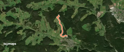 Grundwald - Am Wald