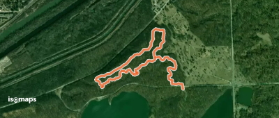Purple Single Track Loop
