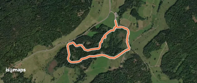 Zauberwaldpfad