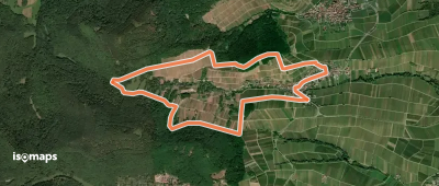 Seligmacherweg Ranschbach