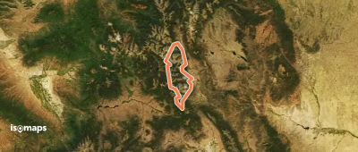 Collegiate Loop