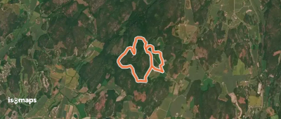 Skogland folkesti