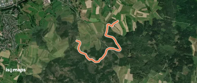 Langenkirschbaum - Johannishütte