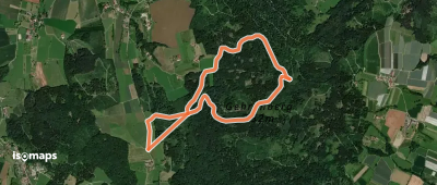 Wanderwege Markdorf: Wildschweinweg