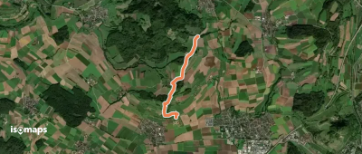 Tiefental - Am Riedheimer Basaltgang