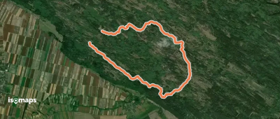 Брацина стаза