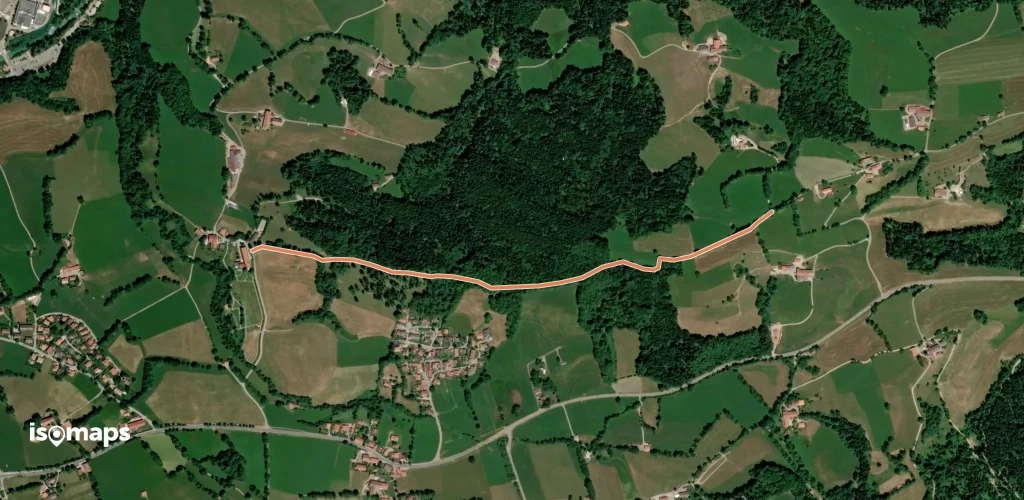 1 Heilklimawalking