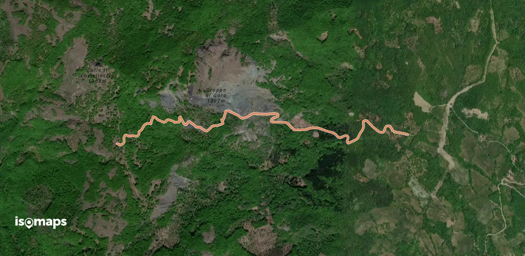 OSM Route 19515210