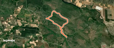 Raso de Vega Baturio