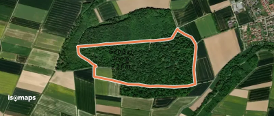 Wildlehrpfad des HVV Bilshausen