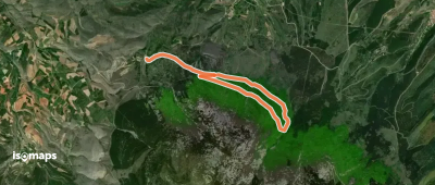 El Hayedo del Moncayo