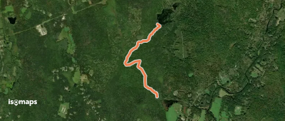 Dim White Trail