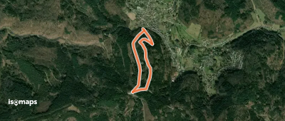 Rundwanderweg Wilhelmsfeld 7: Schriesheimer- Kopf-Weg