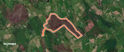 Ballinamuck Bog Loop