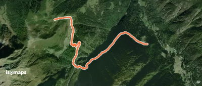 Plan de l'Au > Bovine