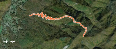 Grunter Ridge Trail