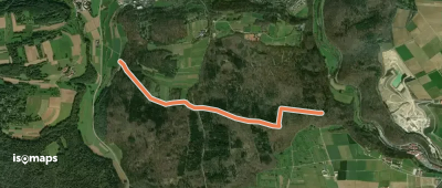 Kuhtrieb - Dicke Eiche