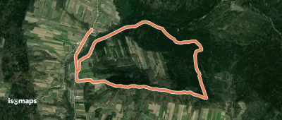 Zamczysko (Czas w Las)