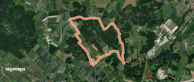 Tannenweg