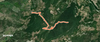 OSM Route 19586004