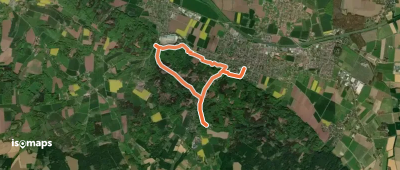 TERRA.track "Hünnefelder Tannen"