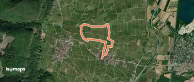 Le Vignoble du Bildstoeckle