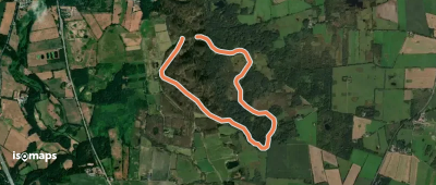 Ilexweg