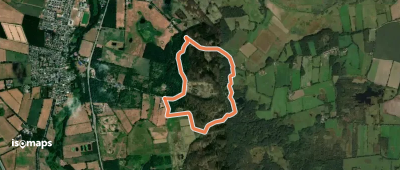 Schmetterlingweg