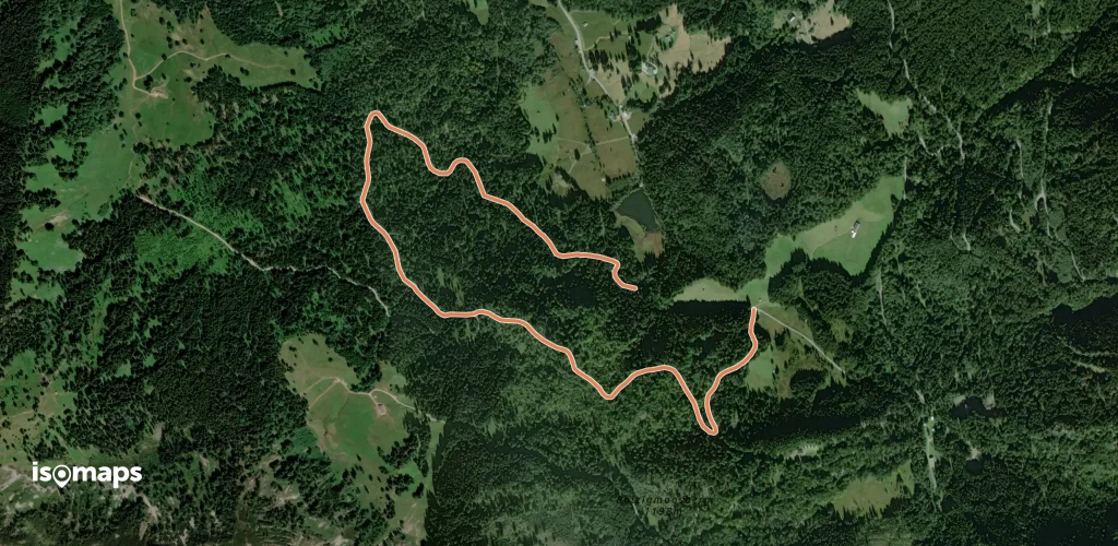 Heilklimawalking 5