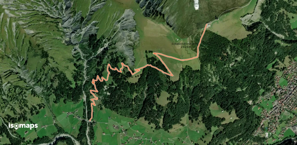 Schärmtanne - Tschentenalp