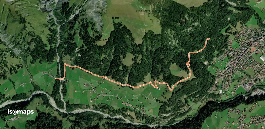 Schärmtanne  - Uelisgraben