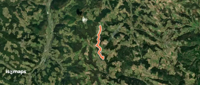 Lichtenegg - Schlag
