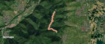 Sur les traces de l'écureuil