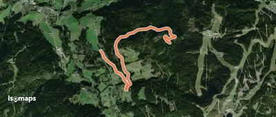 Wanderweg 38 Reiteralm