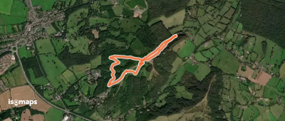 The Buzzard Trail, Clent Hills