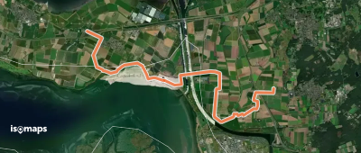 Oosterscheldepad - 13
