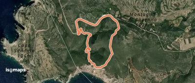 OSM Route 19684210