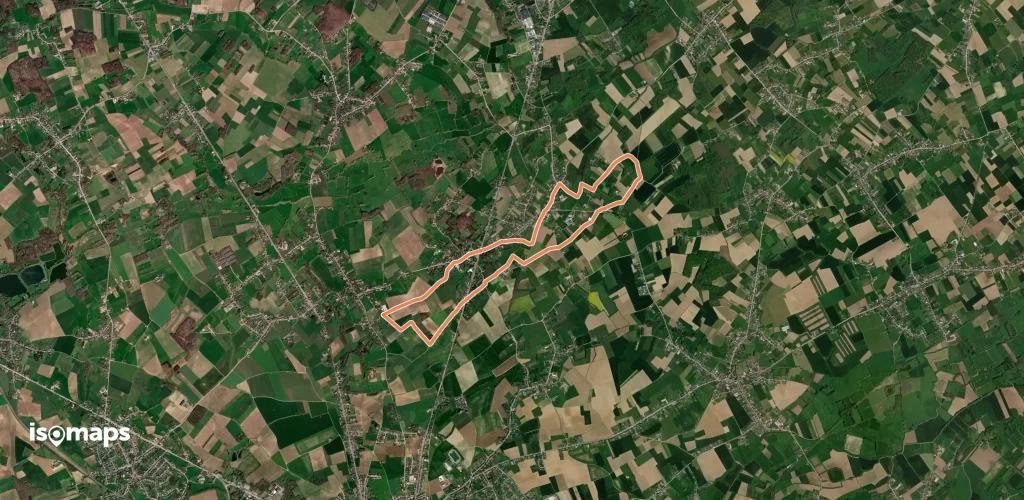 Lindeboomwandeling
