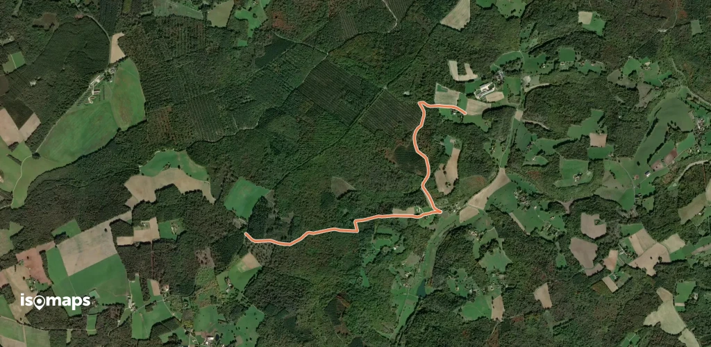 Variante Boucle à travers la Foret barade