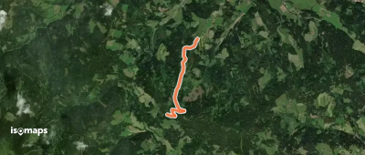 Wanderweg 31
