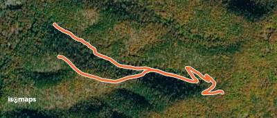 Buck Hollow Trail