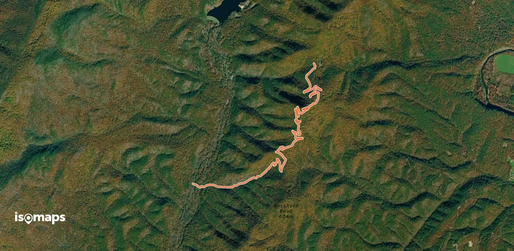Brushy Hollow Trail
