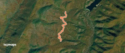 Locust Gap Trail